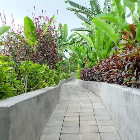 Rendira Villa 2 Ubud  Exterior photo
