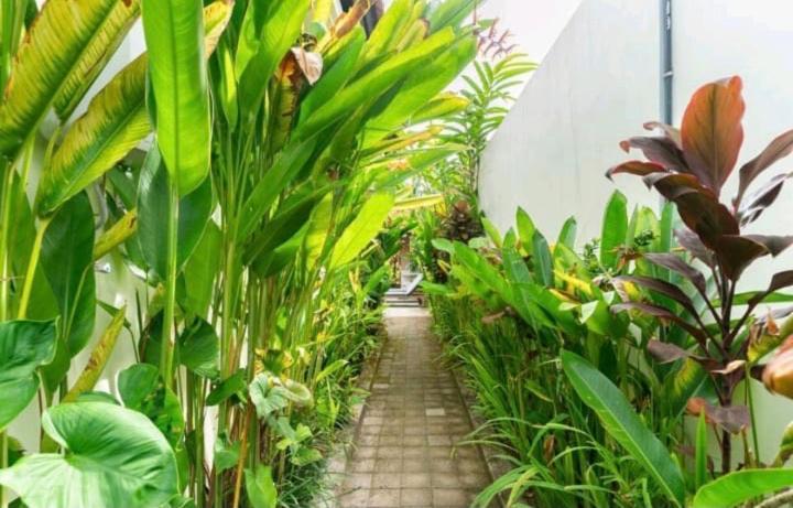 Rendira Villa 2 Ubud  Exterior photo